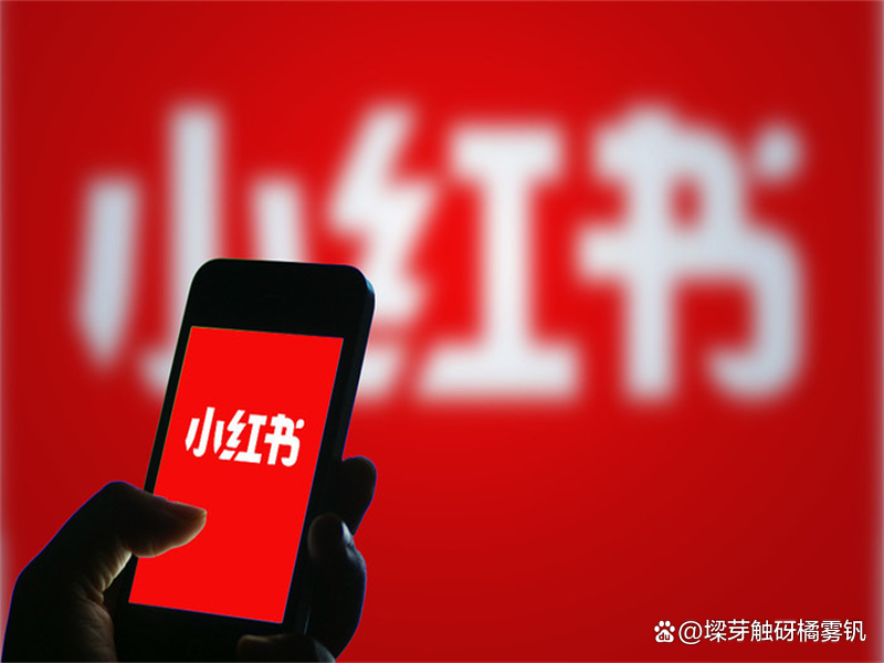 未来社交电商